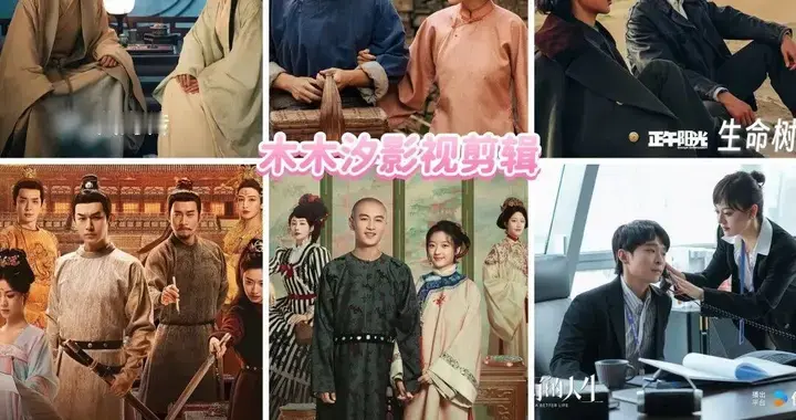 10部2026第31届白玉兰奖入围电视剧, 生命树/太平年/藏海传上榜!