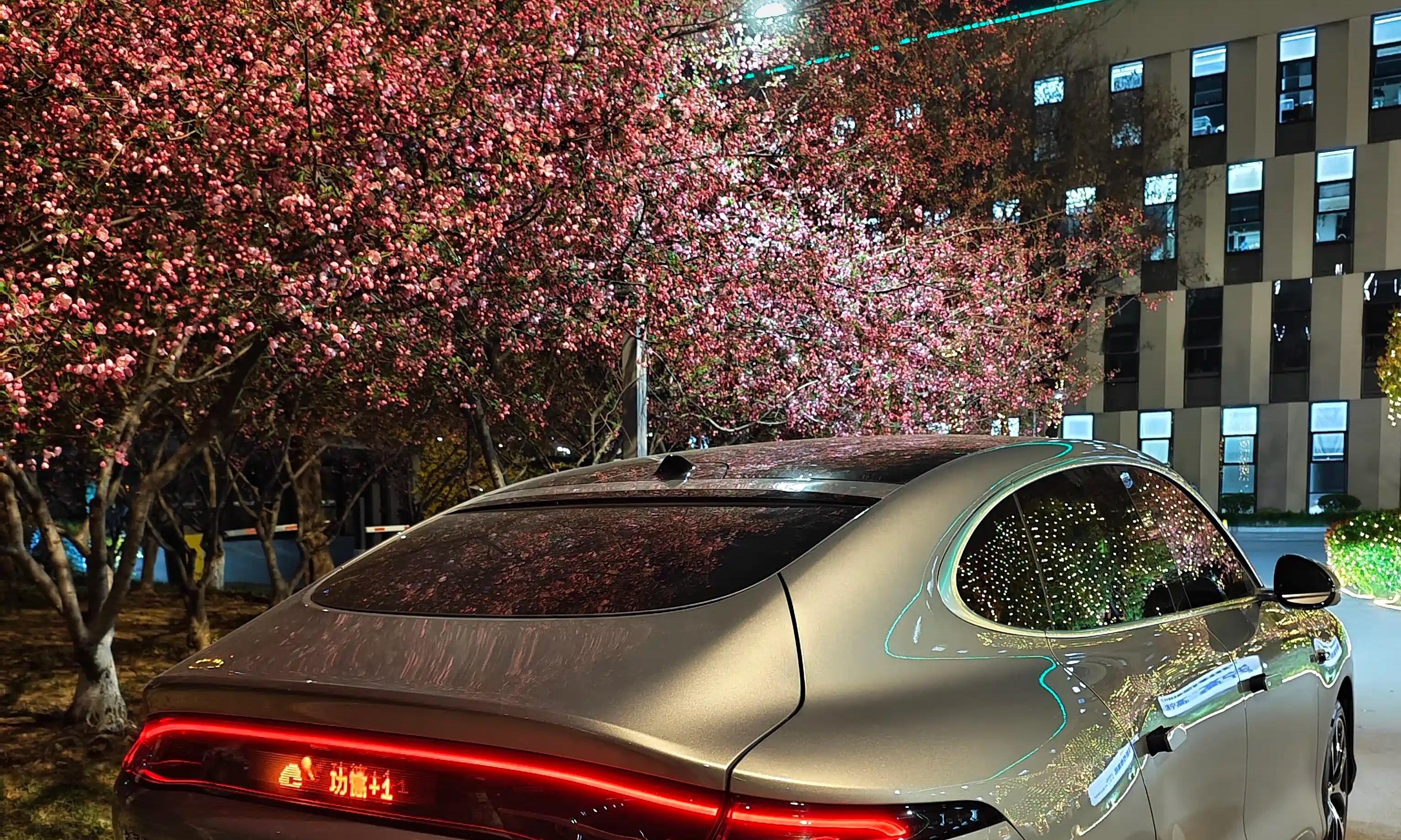 已买表情尾灯别慌！2028前年检暂 unaffected，过渡期最长48个月