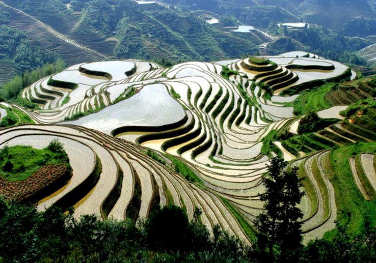 文章配图
