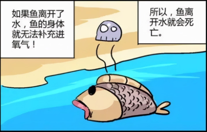 拥有两种呼吸器官的鱼 肺鱼 离开水仍能存活一年多 全网搜 拥有两种呼吸器官的鱼 肺鱼 离开水仍能存活一年多 全网搜