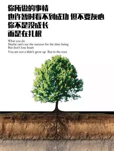 你不是没成长, 而是在扎根
