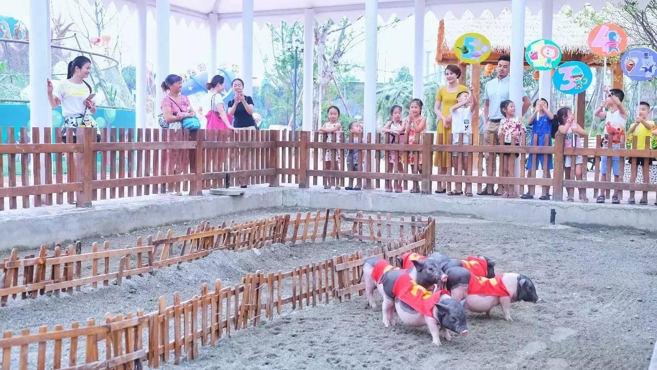 成都 | 为了给你们写这篇水上攻略, 我花了整整12个小时!