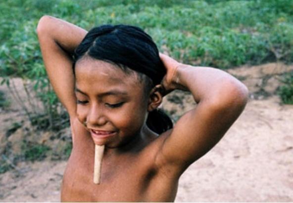 亚马逊原始部落全课图片