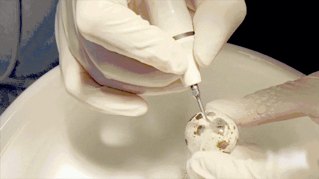 拜托~牙釉质可是钙化程度超高的坚硬组织,其硬度仅次于金刚石,怎么洗