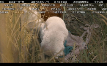 今晚开播! 36集古装悬疑探案剧来了, 13位实力派坐镇, 又是一部开年黑马剧