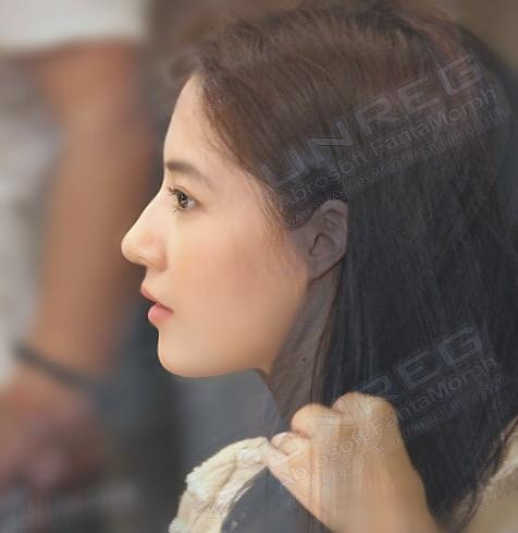 最美五张合成脸, 刘亦菲张柏芝完美结合,最后一张却猜不出